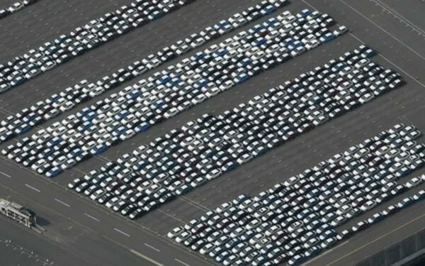 オークション購入